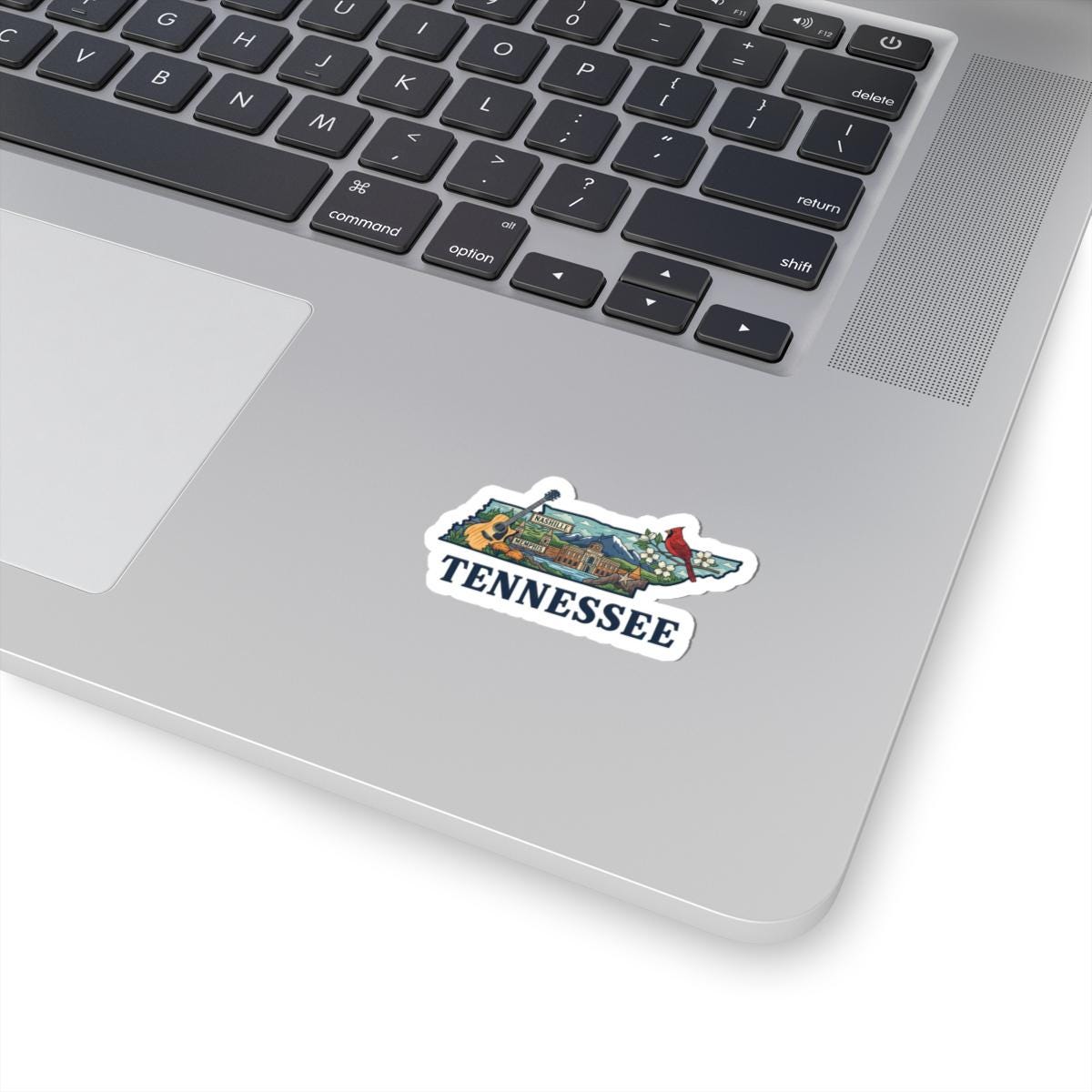ColorFlow | Tennessee Vinyl Sticker Pack | Nashville Memphis Cardinal Guitar Art | Waterproof Glossy Matte Holographic