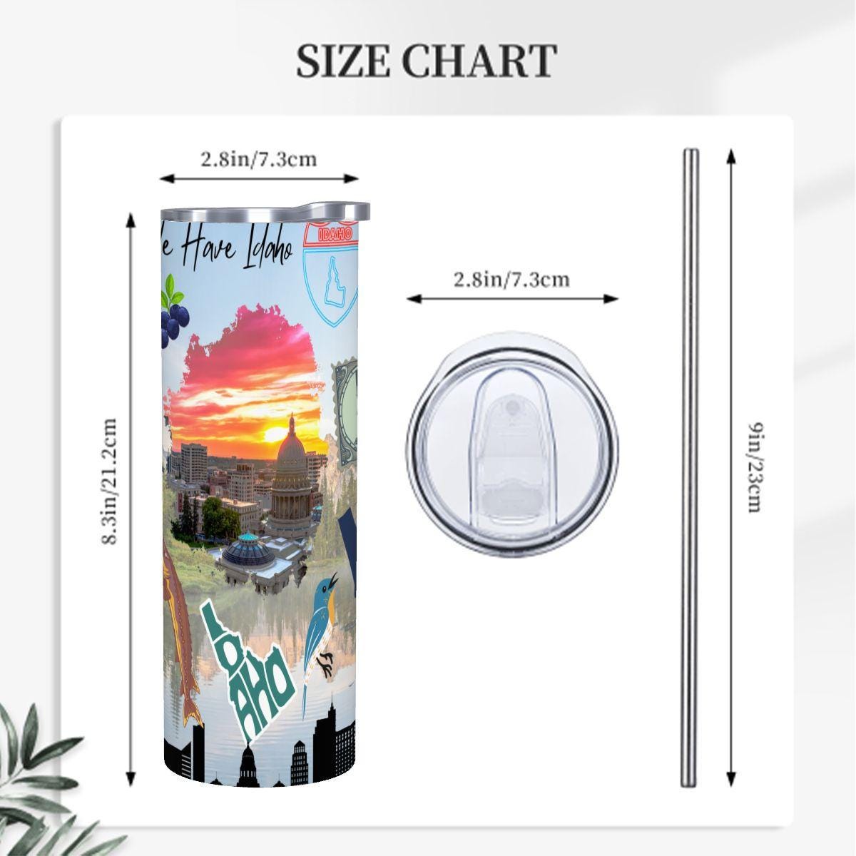ColorFlow | Idaho State Pride Tumbler | Here We Have Idaho Scenic Capitol Art | 20oz Skinny Stainless Steel With Straw