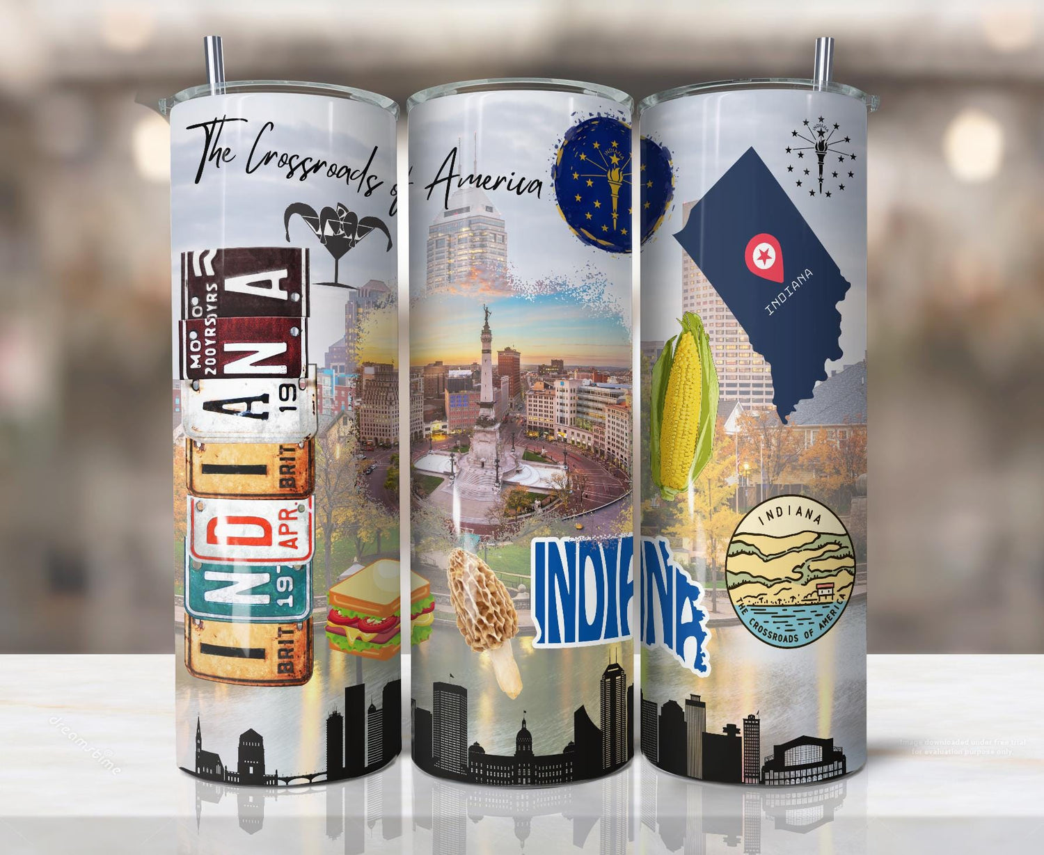ColorFlow | Indiana State Pride Tumbler | Crossroads Of America Monument Art | 20oz Skinny Stainless Steel With Straw