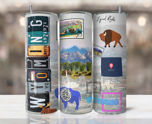 ColorFlow | Wyoming Skinny Tumbler | Equality State Bison Mountain Scenic | Vintage License Plate Travel Art | 20oz