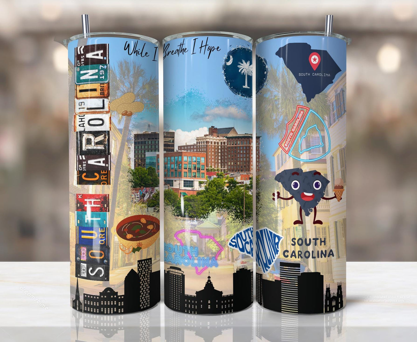 ColorFlow | South Carolina Skinny Tumbler | State Pride License Plate Collage | Landmark Travel Design | 20oz Stainless Steel Cup