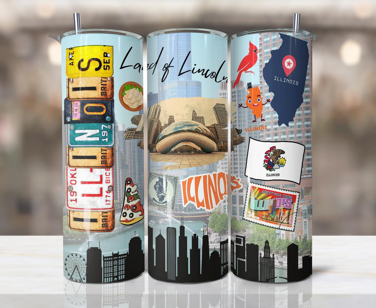 ColorFlow | Illinois Skinny Tumbler | State Pride License Plate Collage | Landmark Travel Design | 20oz Stainless Steel Cup