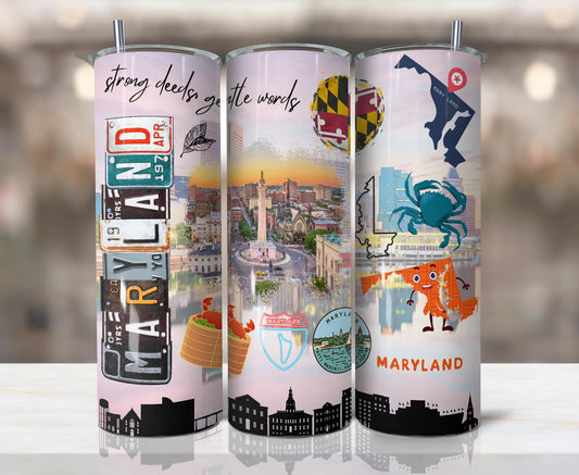 ColorFlow | Maryland State Heritage 20oz Skinny Stainless Steel Tumbler with Straw | Baltimore Skyline Coastal Cup