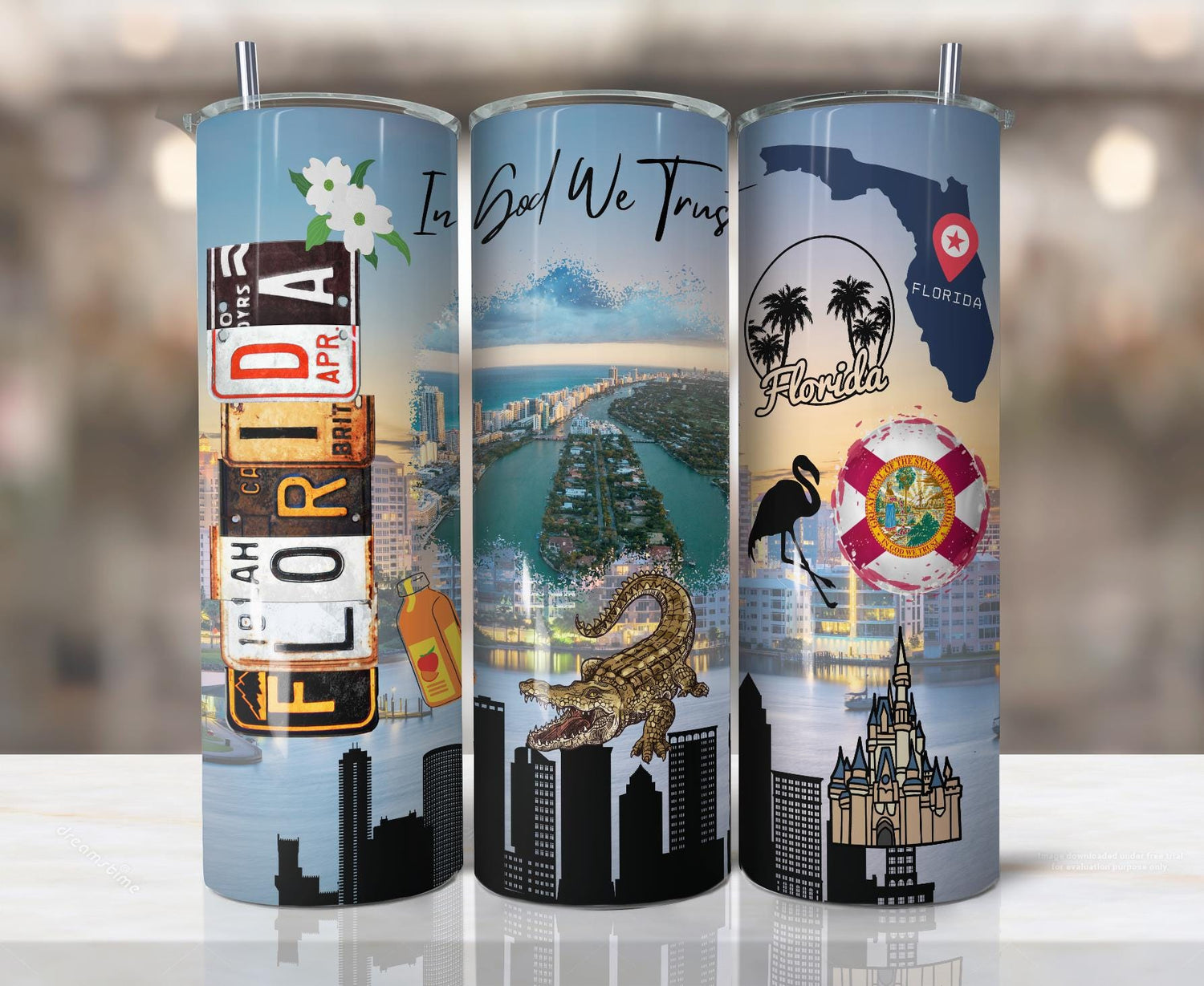 ColorFlow | Florida State Pride Tumbler | In God We Trust Coastal City Scenic | 20oz Skinny Stainless Steel With Straw