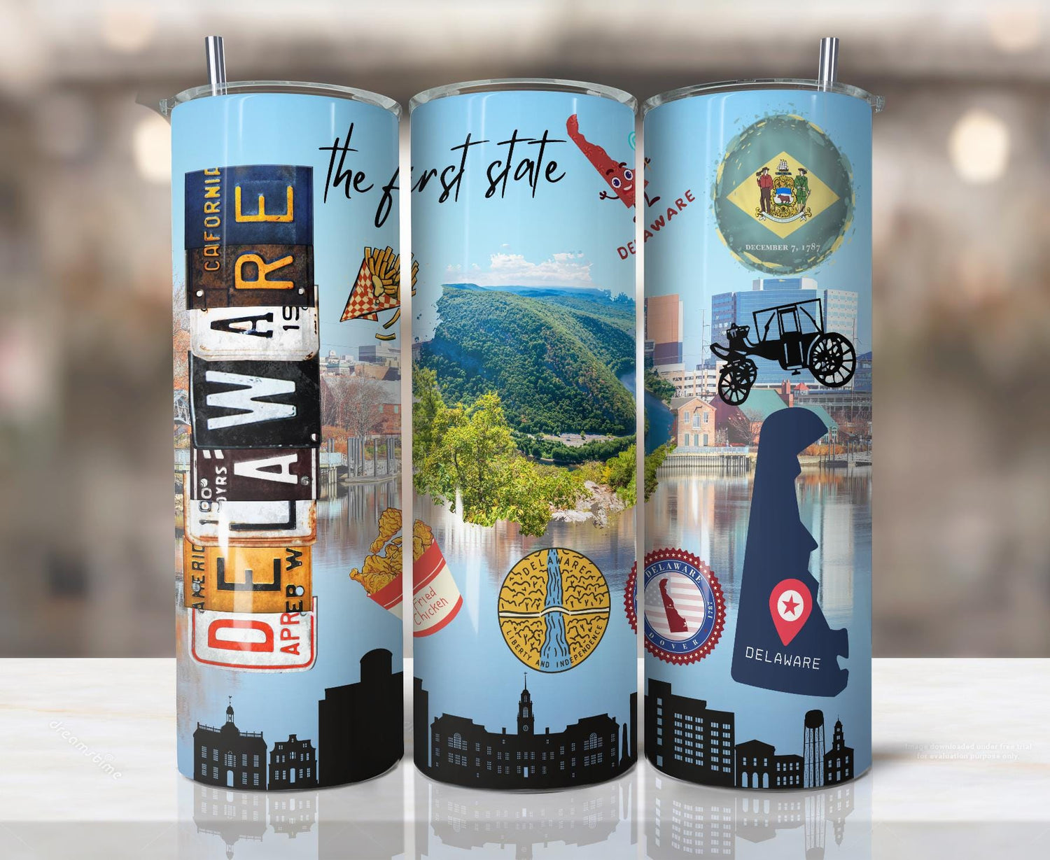 ColorFlow | Delaware State Pride Tumbler | The First State Scenic River Valley | 20oz Skinny Stainless Steel With Straw