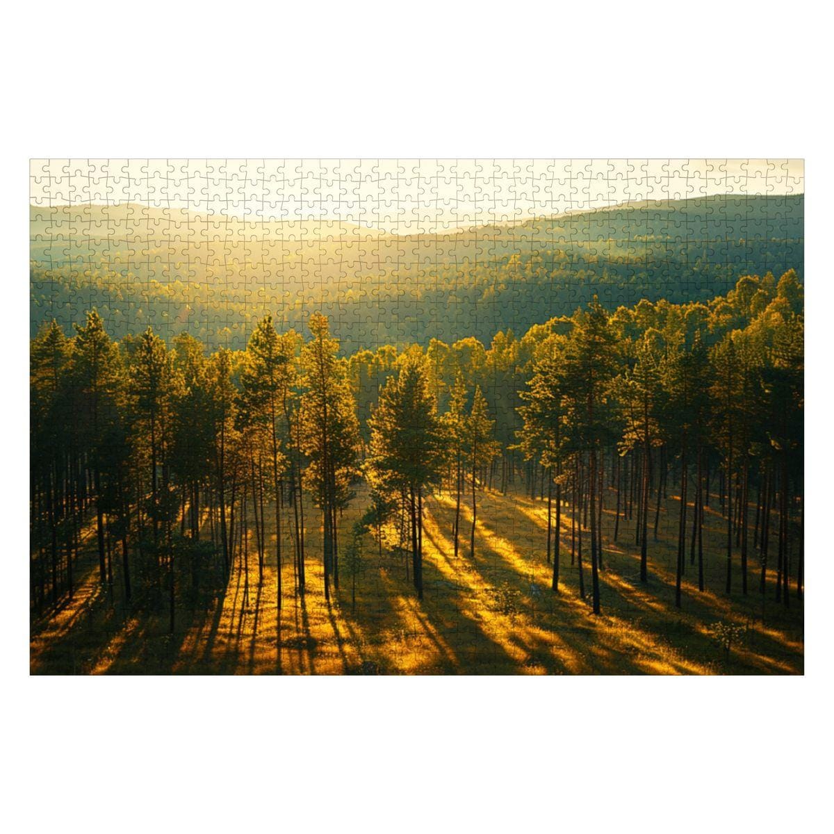 ColorFlow | Golden Forest Light Wooden Jigsaw Puzzle Peaceful Woodland Art Inspired Puzzle