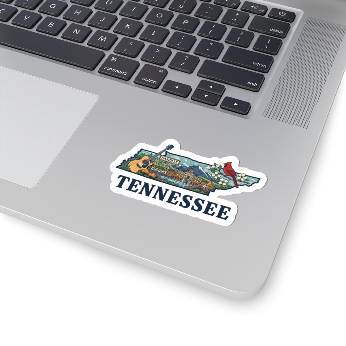 ColorFlow | Tennessee Vinyl Sticker Pack | Nashville Memphis Cardinal Guitar Art | Waterproof Glossy Matte Holographic