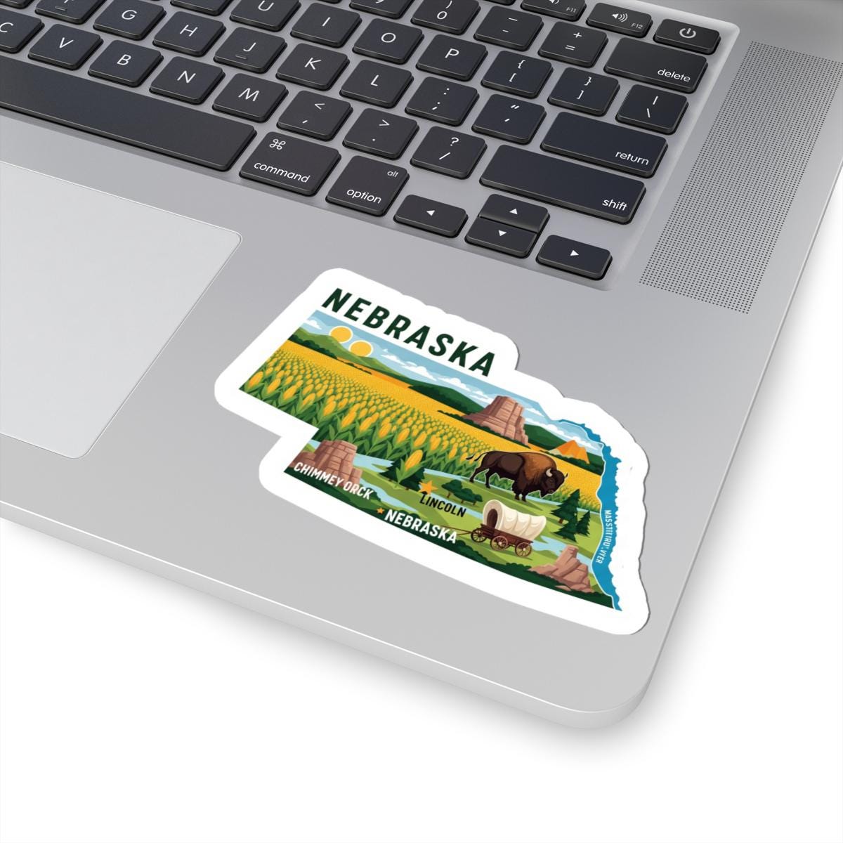 Nebraska Bison Cornfield Vinyl Sticker | Waterproof State Decal (USA Made)