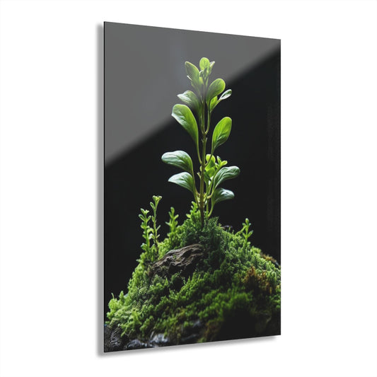 ColorFlow | Green Plant Growth Metal Art Print | Nature Macro Artwork | Botanical Decor | Zen Room Decor | Calm Aesthetic